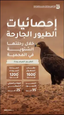 رصد 2850 طائراً جارحاً نادراً في محمية الملك سلمان ضمن برنامج وطني