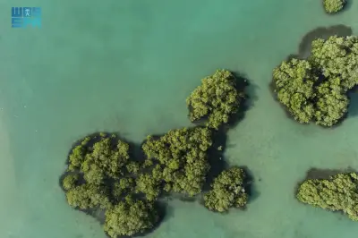 البحر الأحمر الدولية تطلق نموذجاً علمياً لتحقيق مكاسب بيئية صافية 30% بحلول 2040