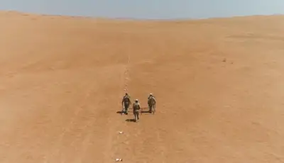 مشروع مسام السعودي ينتزع 3,166 لغماً في أسبوع ضمن جهود تأمين حياة اليمنيين