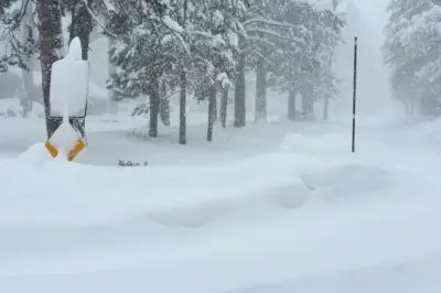 إنقاذ 6 متزلجين محاصرين في كاليفورنيا بعد انهيار جليدي يخلف 10 مفقودين