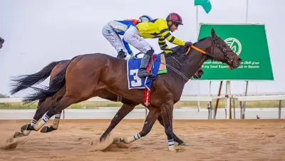 ميدان الملك سعود للفروسية يقيم حفله الخامس عشر في القصيم بتتويج جواد 'أبر كلاس' بكأس الحفل