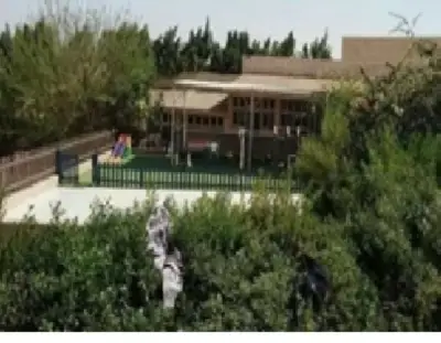 تحقيقات مستمرة في قضية اتجار بالبشر بمصر: هل استغل رجل أعمال نفوذه داخل دار أيتام؟