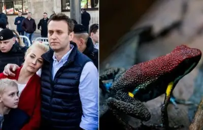 بريطانيا وحلفاؤها يتهمون روسيا بتسميم نافالني بسم ضفدع سام في السجن