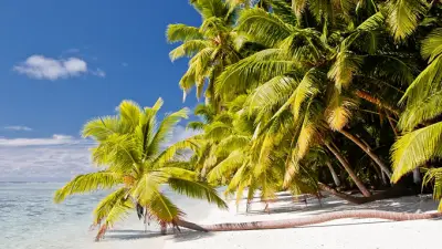 جزر تشاغوس: جنة استوائية محظورة في قلب نزاع دولي بين واشنطن ولندن وموريشيوس