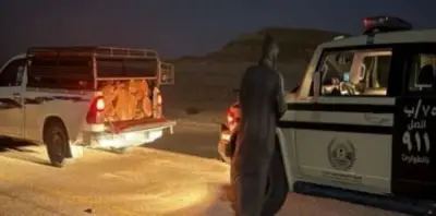 ضبط مخالف لنقل حطب محلي في محمية طويق الطبيعية وتطبيق عقوبات صارمة
