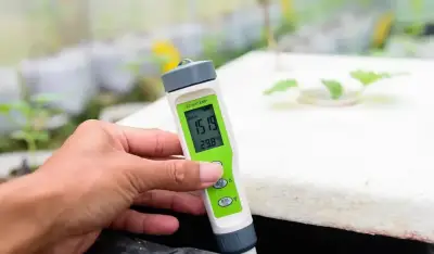 الإرشاد الزراعي يحدد ضوابط ملءحة المياه للتحول إلى الزراعة المائية في المملكة