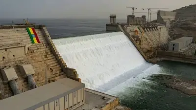 وزير الصحة السعودي يعلن عن إطلاق برنامج وطني للكشف المبكر عن السرطان