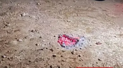 القوات الخاصة للأمن البيئي تضبط مقيمًا مصريًا لمخالفة نظام البيئة في محمية طويق الطبيعية