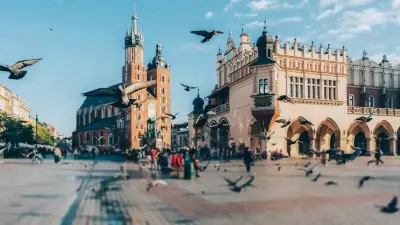 كراكوف البولندية تتبنى استراتيجية إنسانية للحد من تكاثر الحمام دون إطلاق رصاصة واحدة