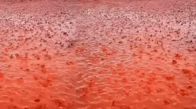 عاصفة غبار صحراوية تلون سماء بريطانيا وتسبب هطول أمطار دموية حمراء خلال أيام