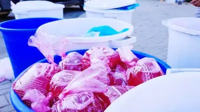 وزير التعليم يعلن عن إطلاق برنامج جديد للتميز الأكاديمي في الجامعات السعودية