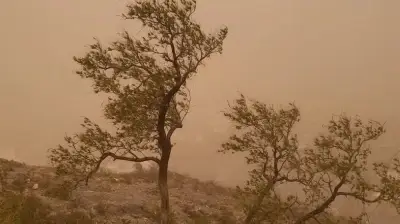 الأرصاد تحذر من رياح مثيرة للأتربة على عدد من مناطق المملكة