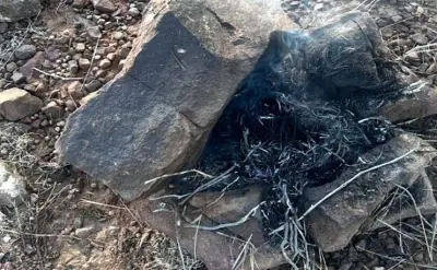 القوات الخاصة للأمن البيئي تضبط مخالفًا لإشعال النار في محمية الإمام فيصل بن تركي الملكية