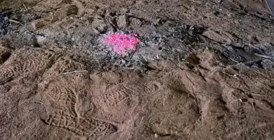 الأمن البيئي يفرض غرامات صارمة على مخالفات إشعال النار والرعي الجائر في المحميات الملكية