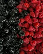 التوت البري: سرّ الإشراقة الطبيعية ومكافحة الشيخوخة في عالم العناية بالبشرة