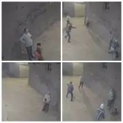 اعتداء مسلح مروّع على أب وابنه في القليوبية بعد صلاة التراويح يثير غضبًا واسعًا