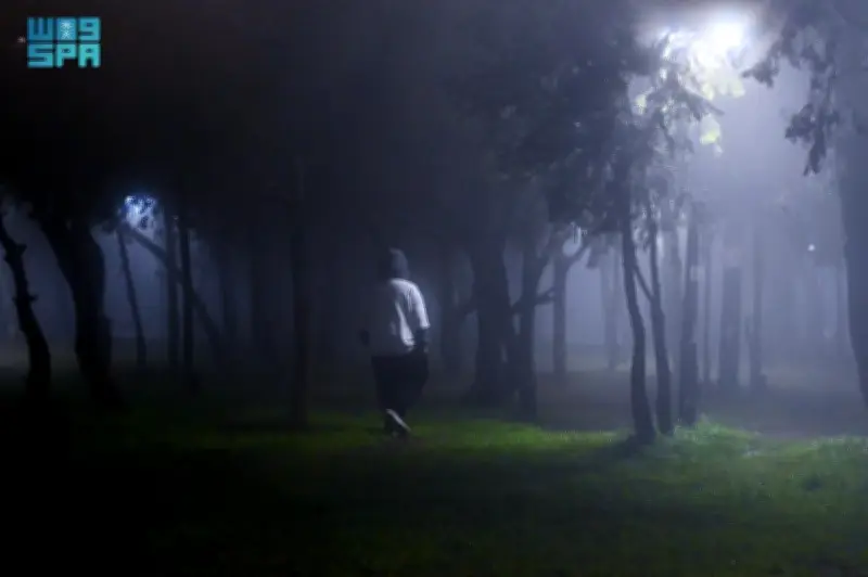 المركز الوطني للأرصاد يصدر تحذيرات برتقالية وصفراء لعدة مناطق بالمملكة