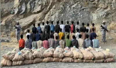 حرس الحدود بجازان يضبط 40 مخالفًا و880 كيلوجرامًا من القات المخدر في عملية أمنية نوعية