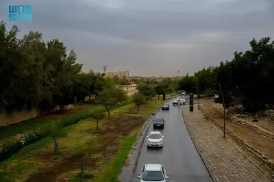 الأرصاد تتوقع أمطارًا رعدية على عدة مناطق وتنبه من رياح مثيرة للأتربة