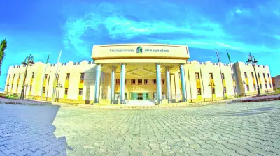 جامعة الأمير مقرن تفتح باب القبول لبرامج الدبلوم المهني عن بُعد