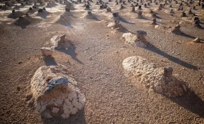 لطائف قرآنية: الفرق الدلالي بين «إحياء» و«بعث» الموتى في القرآن الكريم