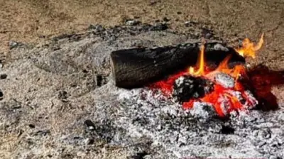 القوات الخاصة للأمن البيئي تضبط مواطنًا مخالفًا لنظام البيئة في عسير لاشعال النار في غير الأماكن المخصصة