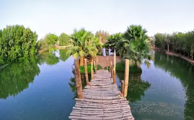 القصيم تتعزز كوجهة سياحية رائدة في المملكة بفضل تنوعها الطبيعي والثقافي