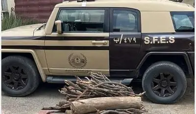 القوات الخاصة للأمن البيئي تضبط مواطنًا لنقل حطب محلي في الرياض وتوضح العقوبات