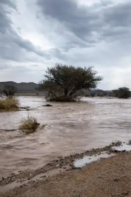 أمطار متوسطة تجري الأودية والشعاب في محافظة القويعية