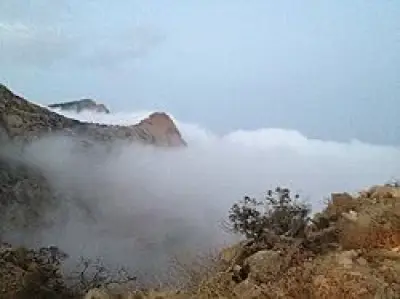 حادثة مرورية مأساوية في المظيلف تودي بحياة أربعة شبان من قرية الأزاهرة بالباحة