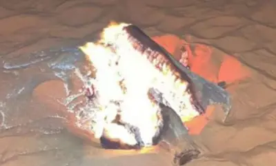 القوات الخاصة للأمن البيئي تضبط مخالفًا في محمية طويق الطبيعية لإشعال النار في غير الأماكن المخصصة