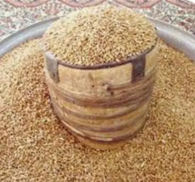 بداية جواز إخراج زكاة الفطر: التوقيت الأمثل والحد الأدنى للتحريم