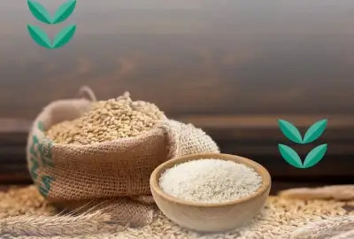 منصة إحسان تطلق خدمة استقبال زكاة الفطر إلكترونياً عبر قنواتها الرقمية في المملكة