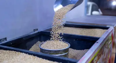 زكاة الفطر: شعيرة إسلامية تجسد قيم التكافل والتراحم في المجتمع