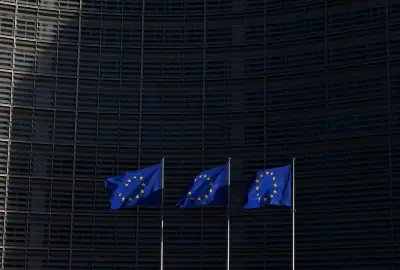 مسؤولة أوروبية: العنصرية المتجذرة تطال نصف المنحدرين من أصل أفريقي في الاتحاد الأوروبي