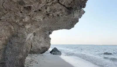 الشعاب المرجانية في الشعيبة: ذاكرة البحر وكنز طبيعي نابض بالحياة