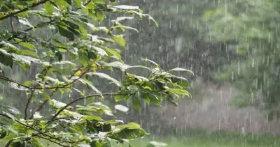 أمطار غزيرة وتنبيهات من هيئة الأرصاد تشمل نجران وينبع وجدة وعرعر اليوم