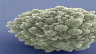 اختراق علمي يمحو الحدود بين الحياة والموت: إعادة بكتيريا ميتة للحياة بجينوم اصطناعي