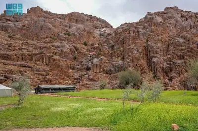 صحاري حائل تزدهر بالأخضر بعد الأمطار وتجذب الزوار إلى الجبال والسهول