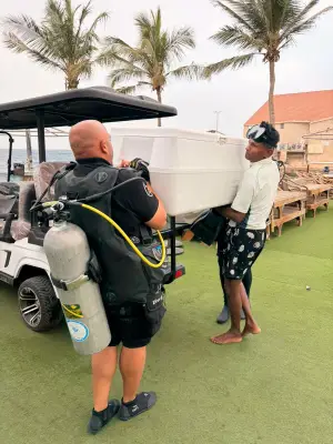 إنقاذ قرش رمادي متسلل إلى مرسى نادي اليخوت في جدة وإعادته إلى البحر بأمان