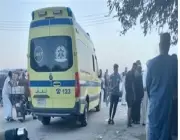 خلاف على الميراث يتحول إلى جريمة قتل بين شقيقين في قرية مصرية