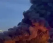 البيت الأبيض يوظف 