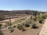 وادي العقيق: شاهد على التاريخ الإسلامي ومتنفس طبيعي في المدينة المنورة