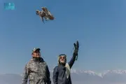 نادي الصقور السعودي يطلق الصقر الحر في كازاخستان ضمن المسار الدولي لبرنامج هدد