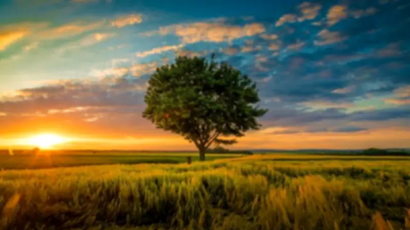 وزير التعليم يعلن عن إطلاق برنامج جديد لتعزيز مهارات الطلاب في العلوم والتكنولوجيا والهندسة والرياضيات