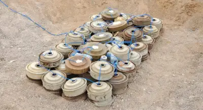 مشروع مسام ينتزع 1273 لغمًا في اليمن خلال أسبوع
