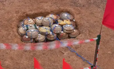 مشروع مسام ينتزع 1408 ألغام من اليمن خلال أسبوع ضمن جهود تطهير الأراضي