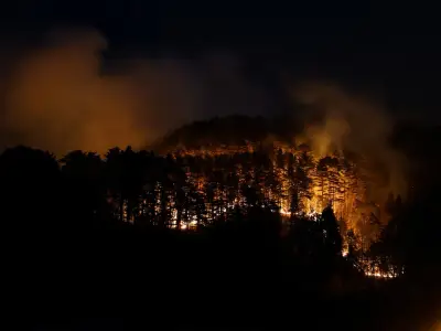 أكثر من ألف رجل إطفاء يكافحون حرائق غابات شمال اليابان وإجلاء 3000 ساكن