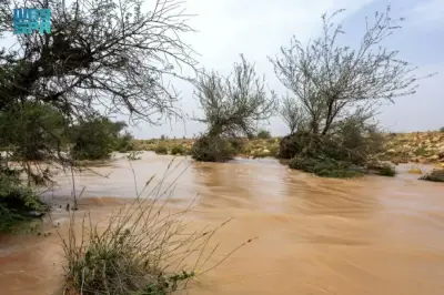 الأمطار تغمر المملكة: 40.6 ملم في الشرقية و65 ملم إجمالي الهطول خلال 24 ساعة