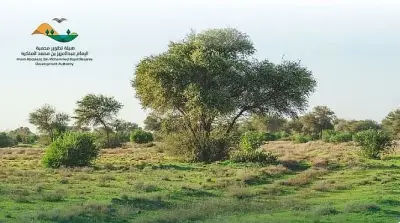 هيئة محمية الملك عبدالعزيز تمنع الرعي وتفرض غرامات تصل لـ500 ريال لكل رأس